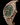 Rolex Day-Date Olive Dial Rose Gold 228235